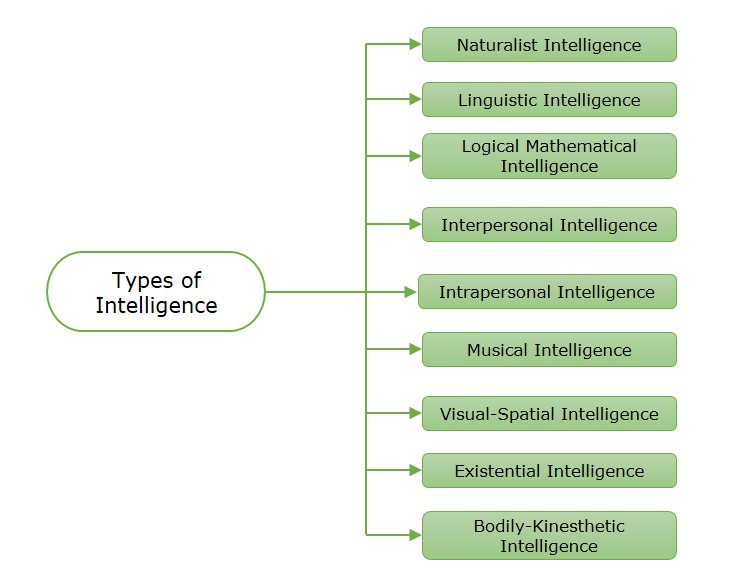 Types of Intelligence