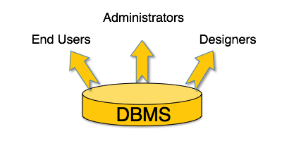 DBMS Users