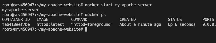 Building Web Server Docker File 5