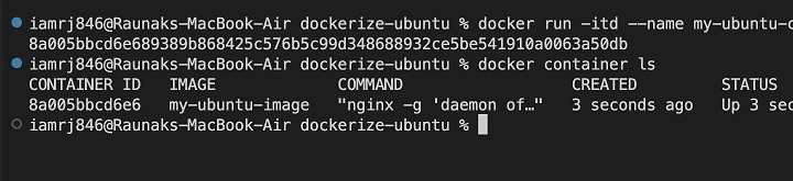 Running the Container Ubuntu 1