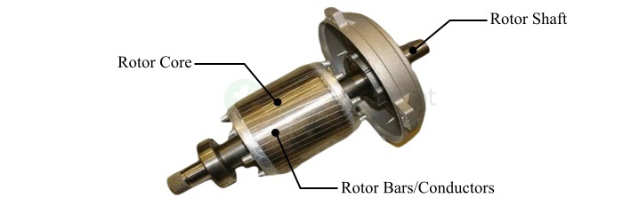 Squirrel Cage Rotor