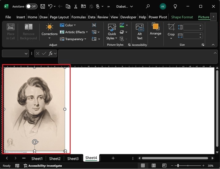 Insert a Sketch from Online Pictures in Excel 2