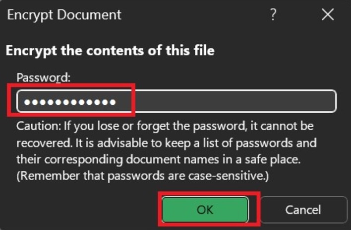 Set a Password in Excel 2