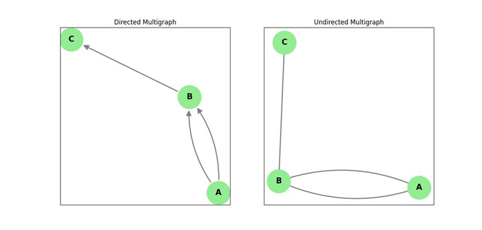 Directed Undirected Multigraph