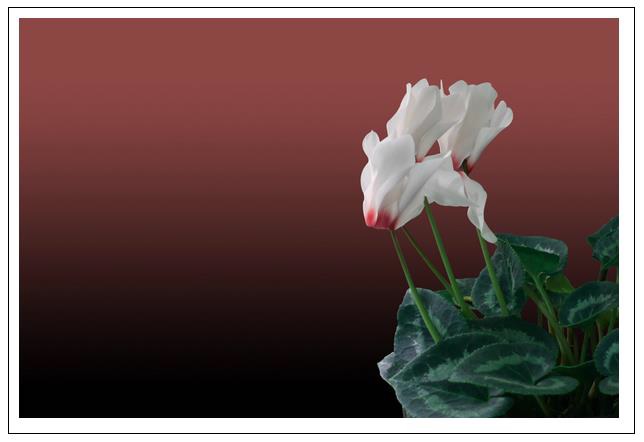 HTML Canvas Filter Property