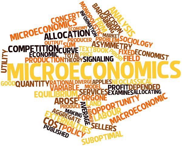 Micro Economics