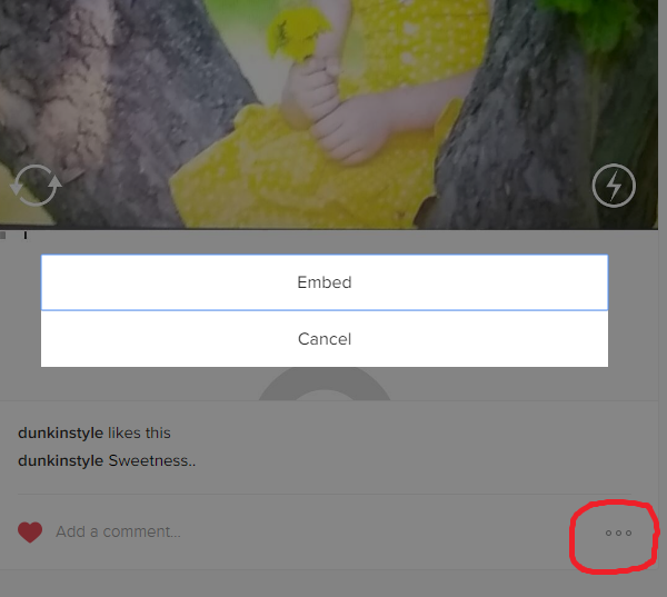 Embedding Pictures on Website