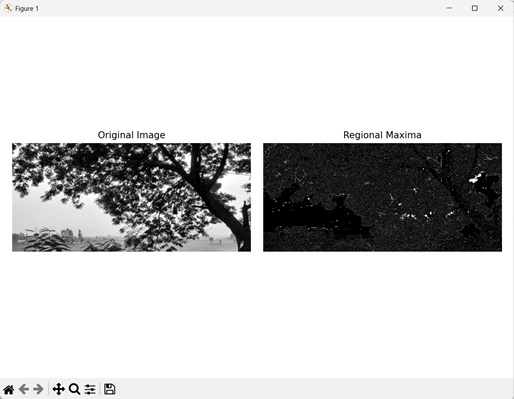 Regional Maxima Image Mahotas