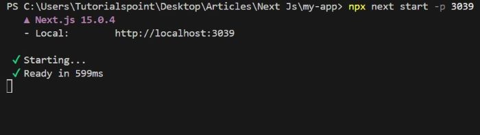 next.js-start-command