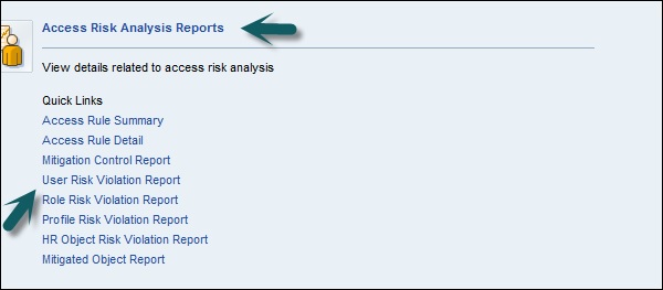 Access Risk Analysis Report