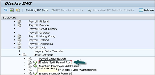 Enable Split Payroll Run