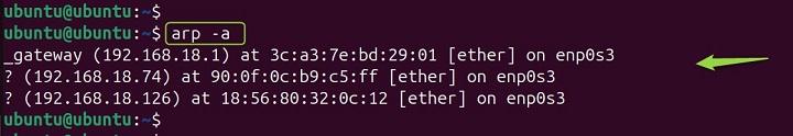 arp Command Linux 2