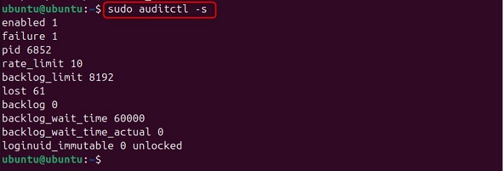Checking the Status of the Audit System