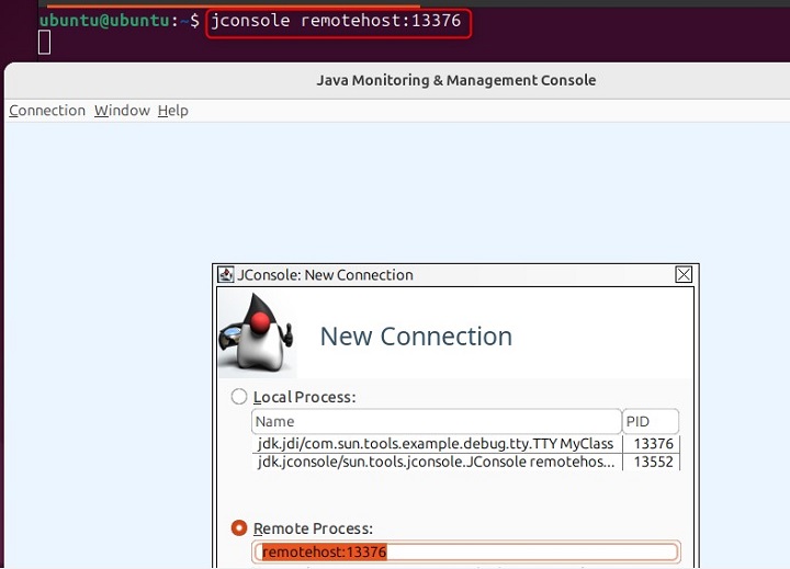Connecting to a Remote JVM