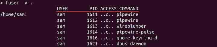 Display Processes of Another Directory fuser Command
