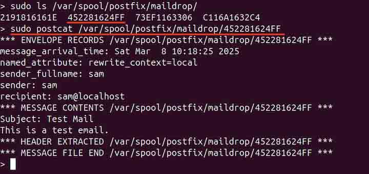 Displaying a Specific Queue Message