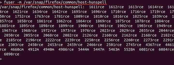 Displaying Processes Accessing Filesystem fuser
