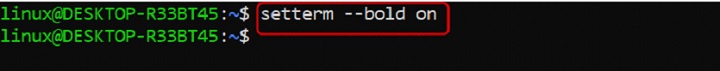 Enabling Bold Text using setterm