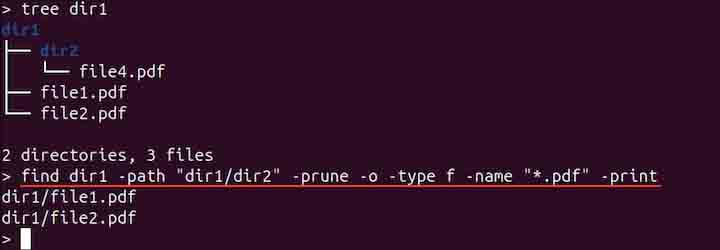 find Command in Linux15