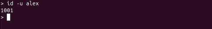 id Command in Linux10