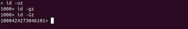 id Command in Linux11