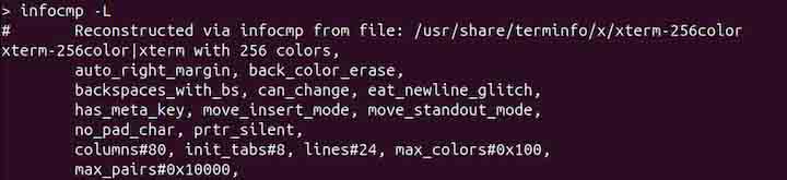 infocmp Command in Linux2