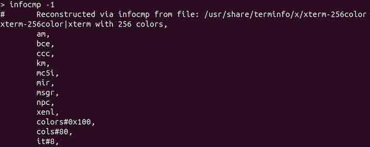 infocmp Command in Linux5