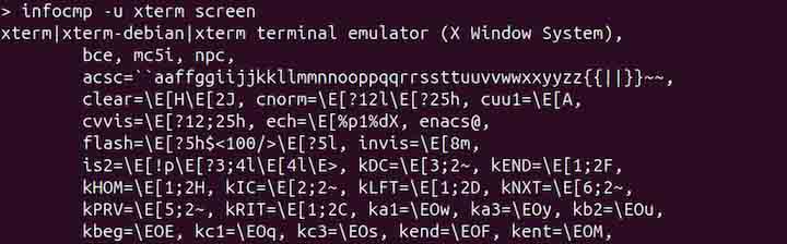 infocmp Command in Linux9
