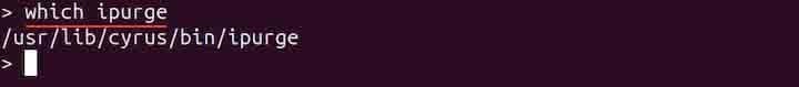 ipurge Command in Linux2