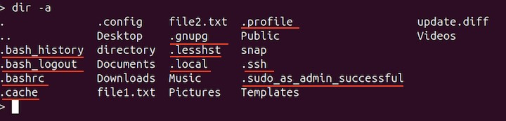 Listing Hidden Contents of a Directory 1