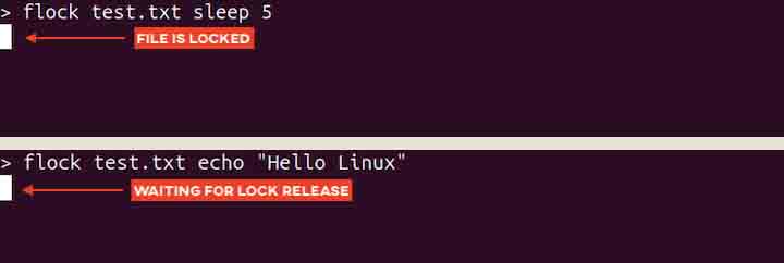 Locking a File flock Command