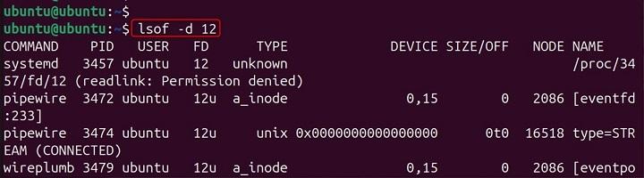 lsof Command in Linux10