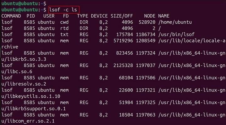 lsof Command in Linux12