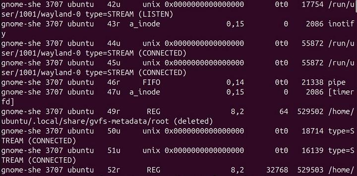 lsof Command in Linux15