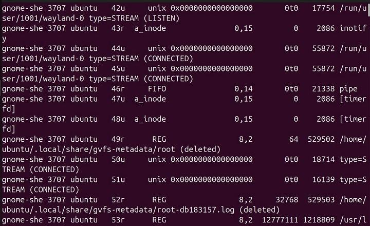 lsof Command in Linux2