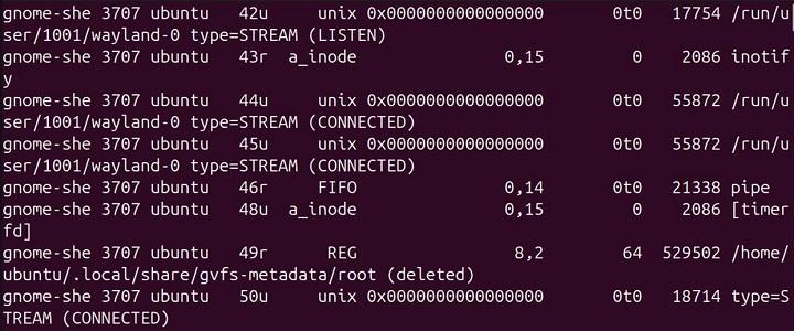 lsof Command in Linux20