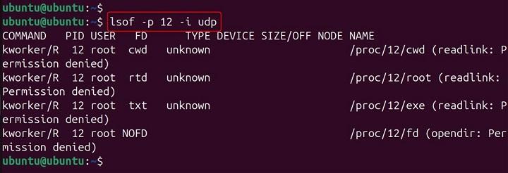 lsof Command in Linux22