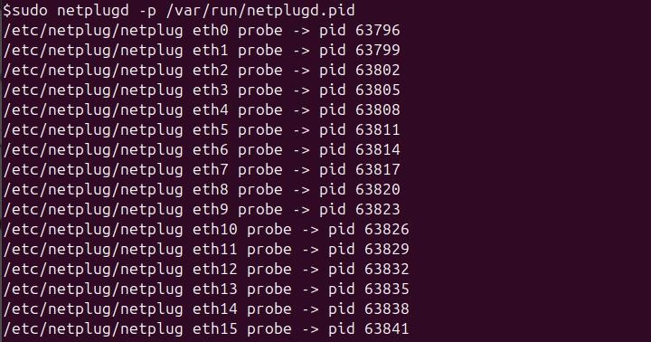 netplugd Command in Linux5