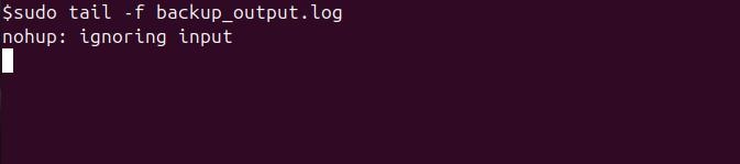 nohup Command in Linux3