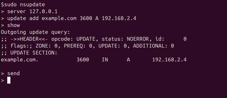 nsupdate Command in Linux10