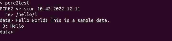 pcretest Command in Linux5