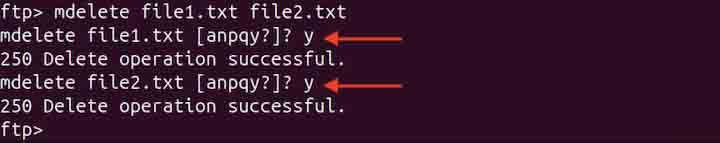 pftp Command in Linux7