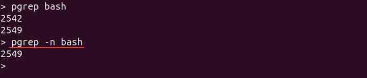 pgrep Command in Linux7