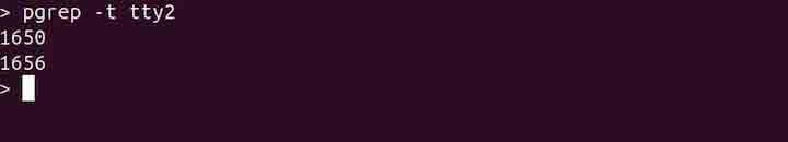 pgrep Command in Linux9