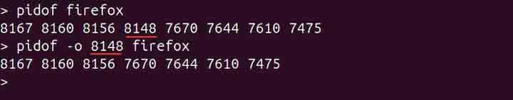 pidof Command in Linux6