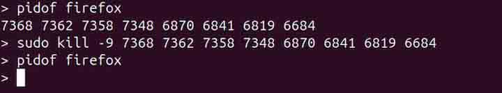 pidof Command in Linux7