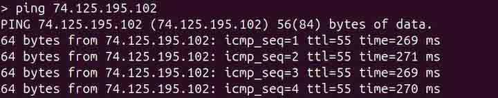 ping Command in Linux1
