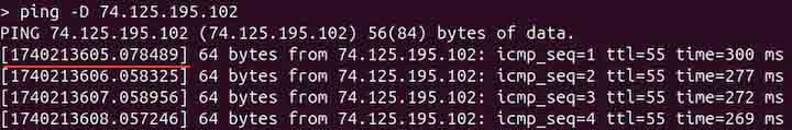 ping Command in Linux7