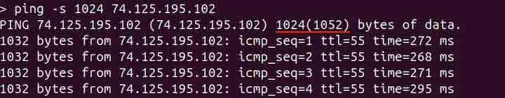 ping Command in Linux8
