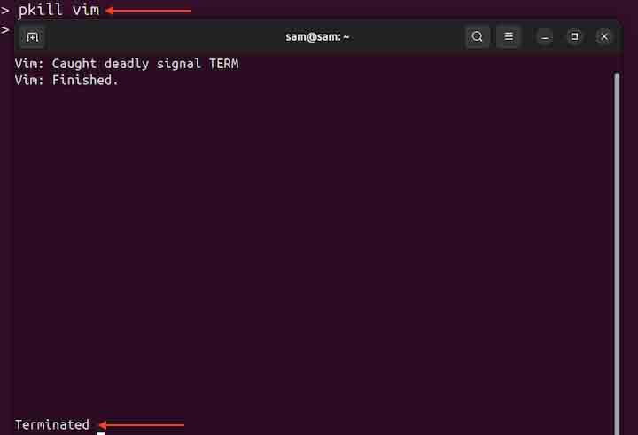 pkill Command in Linux1